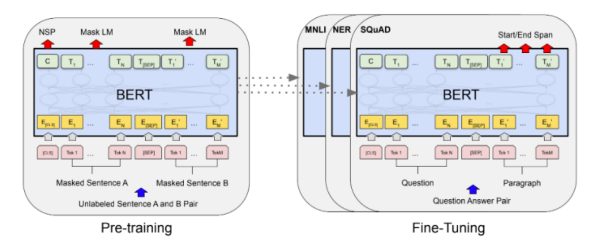 BERT model architecture diagram