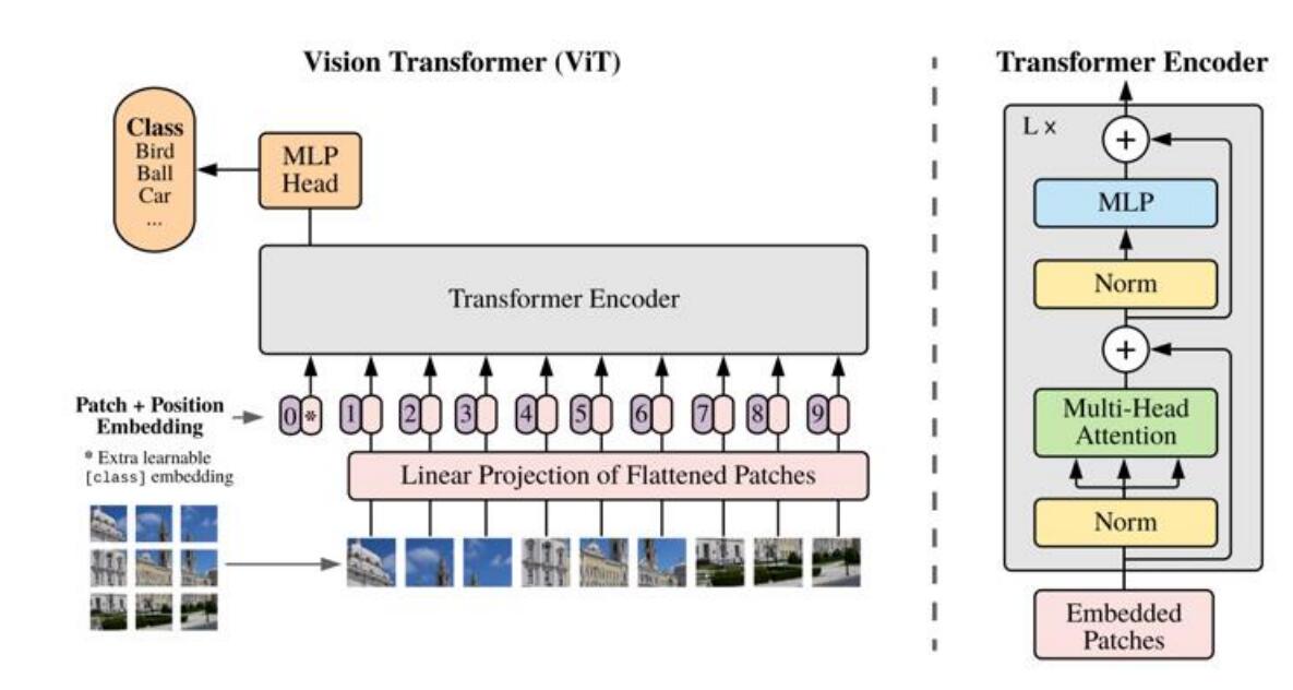 	Cross-Task Multi-Branch Vision Transformer for Facial Expression and Mask Wearing Classification